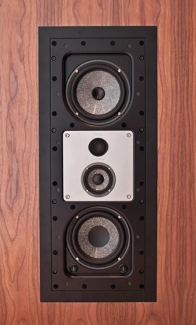 audio-visual-speaker